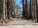 Long driveway through wooded area leading to a house at 897 Winding Trl, Lawrenceville, GA 30046