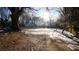 Large backyard with mature trees and detached shed at 2982 Cruse Rd, Lawrenceville, GA 30044