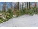 Snowy backyard with lush greenery and trees at 530 Balfour Dr, Decatur, GA 30032