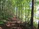 Scenic nature trail through lush woods, perfect for hiking and enjoying the peace of nature at 3204 Woodrow Ne Way, Atlanta, GA 30319