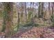 Wooded backyard with mature trees and ivy at 605 Spruce Dr, Pine Lake, GA 30072
