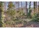 Wooded backyard with lush greenery and mature trees at 605 Spruce Dr, Pine Lake, GA 30072