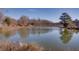 Serene pond reflecting the surrounding trees at 605 Spruce Dr, Pine Lake, GA 30072