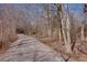 Paved trail winding through a wooded area at 605 Spruce Dr, Pine Lake, GA 30072