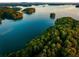 Aerial view of a lake with lush green shoreline at 4910 Crestline View Rd, Cumming, GA 30028