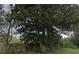 Large magnolia tree obscures view of fenced property at 5910 Karr Rd, Cumming, GA 30040