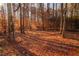 View of a wooded area with autumn leaves at 415 Rockingham Ln, Woodstock, GA 30189