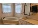 Bathroom featuring a soaking tub, sink, and bright natural lighting at 1294 Dogwood Rd, Snellville, GA 30078