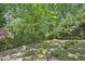 Landscaped backyard with lush green trees at 2192 Spink St, Atlanta, GA 30318