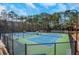 Well-maintained tennis courts surrounded by lush greenery at 2530 Ashbourne Dr, Lawrenceville, GA 30043
