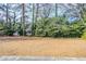 Large backyard with a view of trees at 1967 Glen Echo Dr, Decatur, GA 30032