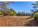 View of a dry, open field with a background of tall trees at 1921 W Hightower W Trl, Conyers, GA 30012