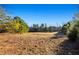 View of an open field bordered by a line of trees at 1921 W Hightower W Trl, Conyers, GA 30012