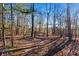 Pathway through a wooded area, with a gate in the middle at 1921 W Hightower W Trl, Conyers, GA 30012