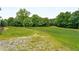 Large backyard with mature trees and open space at 833 Hines Rd, Moreland, GA 30259