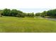 Expansive backyard with pond and tree line at 833 Hines Rd, Moreland, GA 30259