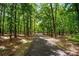 Long private driveway leading through lush trees at 833 Hines Rd, Moreland, GA 30259