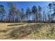 Sunny backyard with tall trees and grassy area at 80 Heyman Dr, Covington, GA 30016