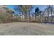 Spacious backyard with a grassy area and trees at 550 Jodeco Station St, Stockbridge, GA 30281