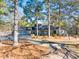 Ranch style home with attached garage and large yard at 3228 Rosebud Rd, Loganville, GA 30052