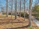 Ranch-style home with classic brickwork surrounded by mature trees casting shadows in the front yard at 3660 Hickory Se Cir, Smyrna, GA 30080