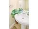 Clean bathroom with pedestal sink and decorative plants at 6034 Regent Mnr, Lithonia, GA 30058