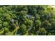 Aerial view of house nestled in lush greenery at 2100 Davis Academy Rd, Rutledge, GA 30663