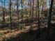 Wooded lot in autumn, showing leaves and tree shadows at 5375 Northland Ne Dr, Sandy Springs, GA 30342