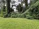 Overgrown backyard with mature trees and vines at 2323 Valleyside Dr, Decatur, GA 30032