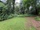 Overgrown backyard with mature trees and vines at 2323 Valleyside Dr, Decatur, GA 30032