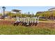 Jonquil Town Square, featuring restaurants and shops at 1708 Evenstad Way, Smyrna, GA 30080