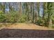 Wooded backyard view from back of house at 3563 Bolfair Nw Dr, Atlanta, GA 30331