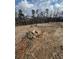 Picture of land with brown grass and some rocks with a few trees in the background at 319 Willam Gossett Dr, Canton, GA 30114