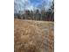 Picture of land with brown grass with a few trees in the background at 319 Willam Gossett Dr, Canton, GA 30114