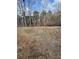 Picture of land with brown grass with a few trees in the background at 319 Willam Gossett Dr, Canton, GA 30114
