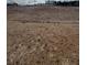 Picture of land with brown grass with a few trees in the background at 319 Willam Gossett Dr, Canton, GA 30114