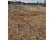 Picture of the land with dirt and grass with a few trees in the background at 319 Willam Gossett Dr, Canton, GA 30114