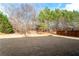 Large backyard with established trees and grass at 121 Meridian Dr, Woodstock, GA 30188
