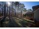 Sun-drenched backyard with lush greenery and trees at 37 Waterstone Se Dr, Cartersville, GA 30121