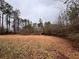 Large yard behind mobile home, trees at 3520 Haynes Ridge Rd, Loganville, GA 30052