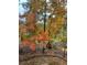 Beautiful fall foliage in the backyard, featuring trees with vibrant red and yellow leaves at 747 Dogwood Cir, Norcross, GA 30071