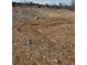 Image shows vacant land, freshly graded, with dry vegetation and some bare soil visible at 311 Willam Gossett Dr, Canton, GA 30114