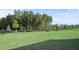 Spacious backyard with grassy lawn and tree line at 305 Foxglove Way, Mcdonough, GA 30253