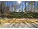 Landscaped backyard with trees and lawn at 216 Parc View Ln, Woodstock, GA 30188