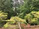 Overgrown path leading to a lake view at 6289 Woodlake Dr, Buford, GA 30518