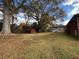 Large grassy backyard with mature trees and a storage shed at 1261 Cliffwood Se Dr, Smyrna, GA 30080