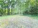 Private backyard surrounded by lush green trees at 4550 Cypress Ridge Ct, Stone Mountain, GA 30083