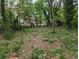 Wooded backyard with some debris and overgrown areas at 2624 Peyton Nw Rd, Atlanta, GA 30318