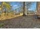 Wooded backyard with a large tree and some leaves at 8586 Taylor Rd, Riverdale, GA 30274