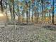 Wooded backyard with cleared area, ready for your dream landscape at 342 Mccurry Rd, Stockbridge, GA 30281